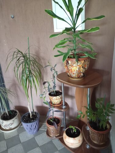 Отель Бестужев, фото 30