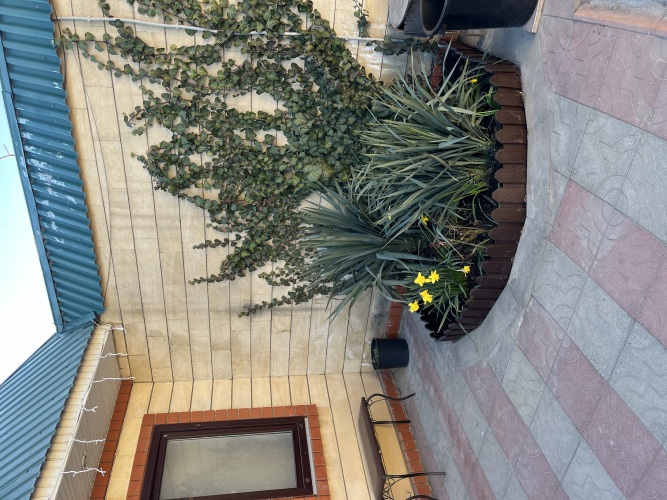 Гостевой Дом Дворик, фото 45