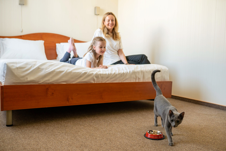 Отель Митино, фото 25