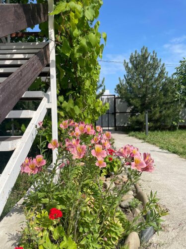 Гостевой дом Подсолнух Вилладж, фото 61