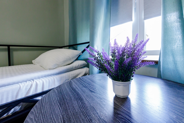 Парк-отель ЮМА, фото 15