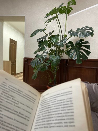 Хостел Сириус, фото 29