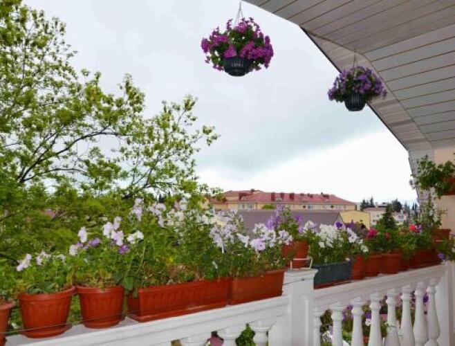 Guest House Tsvetochnaya Polyana, фото 19