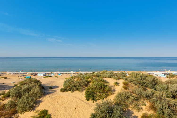 Отель Alfa Summer, фото 78