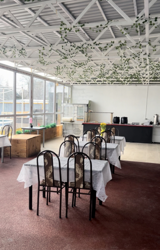 Отель ЗОЖ Геркулес, фото 25