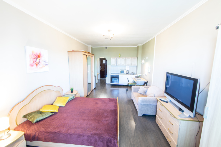 Апартаменты на 50 лет ВЛКСМ ВыДома, фото 63