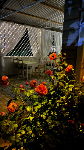 Гостевой дом Понтик, фото 22