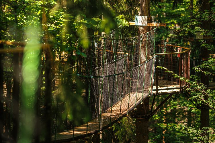 Русские Сезоны Комфорт Отель Пересвет, фото 49