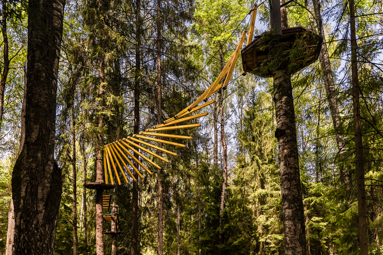 Русские Сезоны Комфорт Отель Пересвет, фото 74