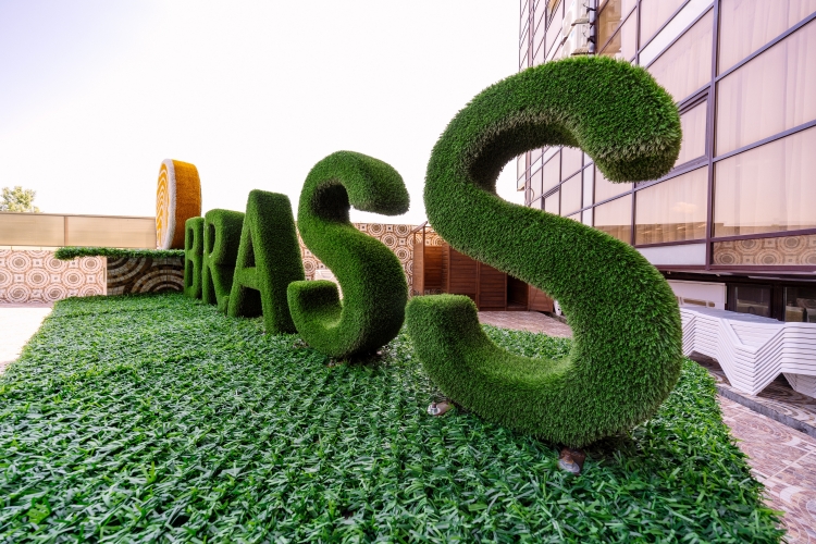 Отель Брасс Фэмили, фото 23