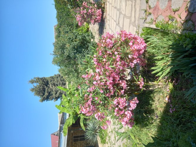 База отдыха Риал, фото 28