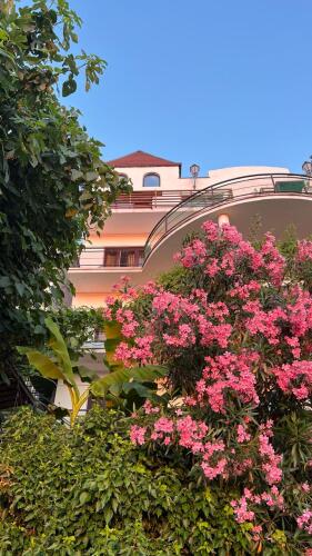 Гостевой дом Шато Жюли, фото 7