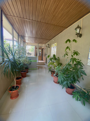 Гостевой дом Александра, фото 13