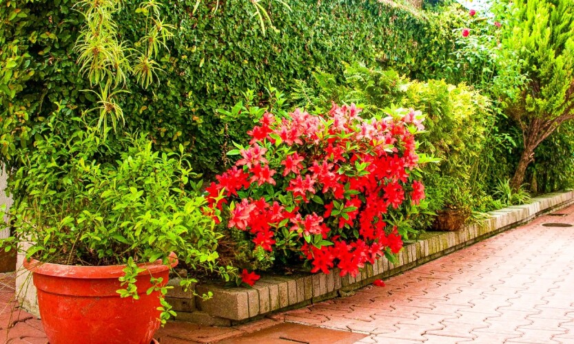 Гостевой дом Вилла Валентина by Sun City Hotels, фото 41