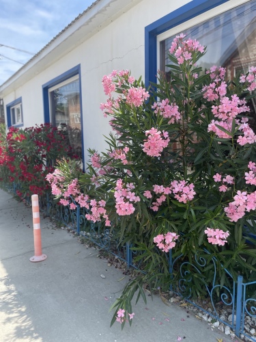 Гостевой дом Slava, фото 29