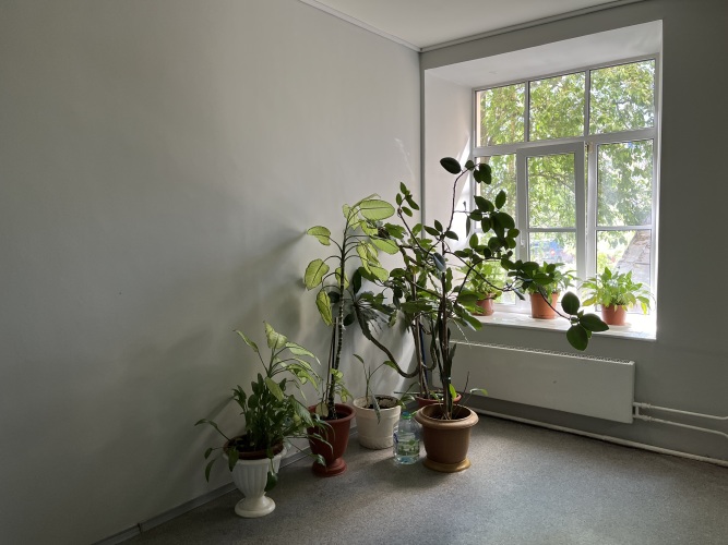 Гостиница Пушкин, фото 9