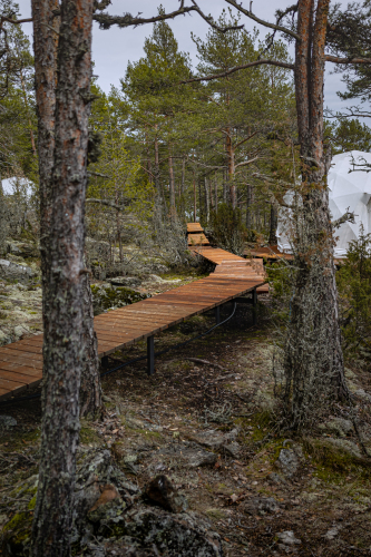 Глэмпинг Lago Ladoga, фото 40