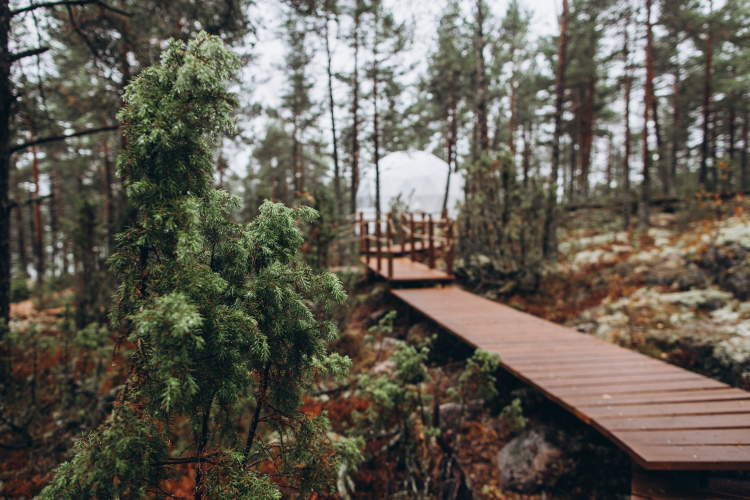 Глэмпинг Lago Ladoga, фото 43