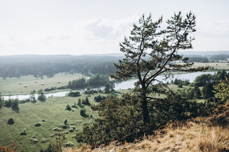 Глэмпинг Lago Ladoga, фото 51