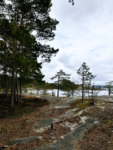 Глэмпинг Lago Ladoga, фото 52