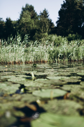 Глэмпинг Lago Ladoga, фото 69