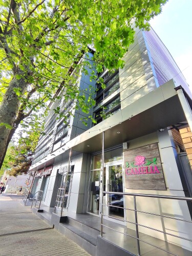 Отель Камелия, фото 40