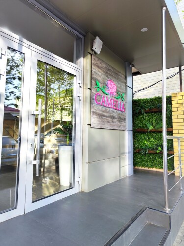 Отель Камелия, фото 43