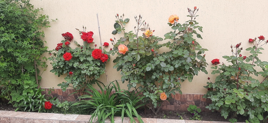 Отель Velvet 1, фото 74