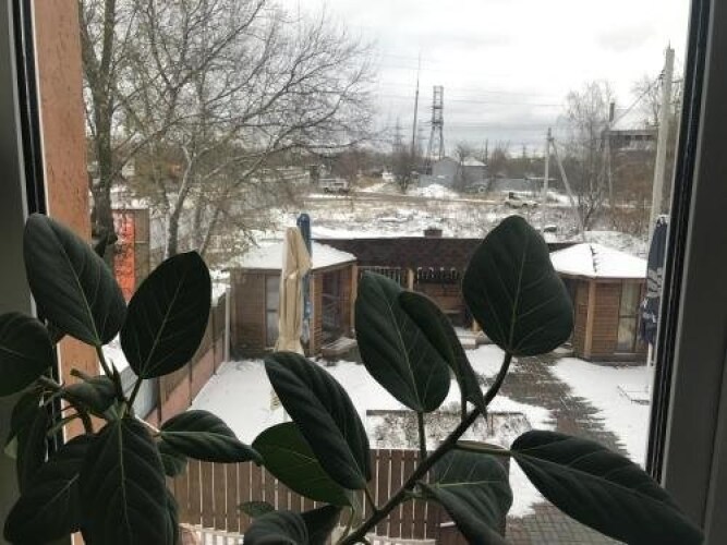 Otel Pozitiv, фото 39