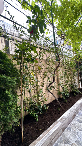 Гостевой Дом Прибрежный, фото 31