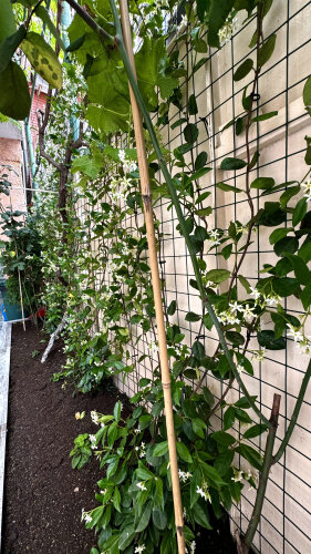 Гостевой Дом Прибрежный, фото 34