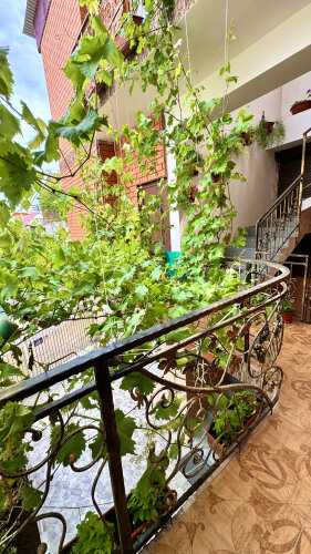 Гостевой Дом Прибрежный, фото 41