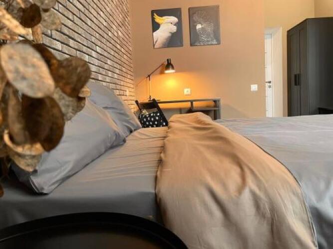 BRUSNIKA Guest house, фото 31