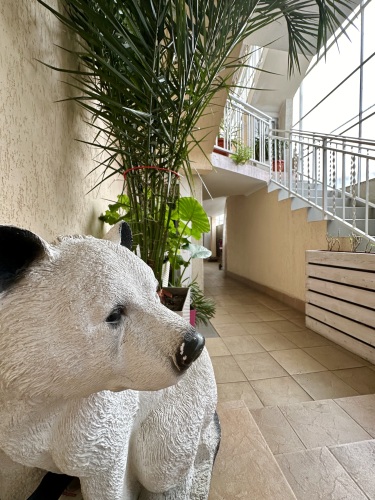 Гостиница Теремок, фото 44