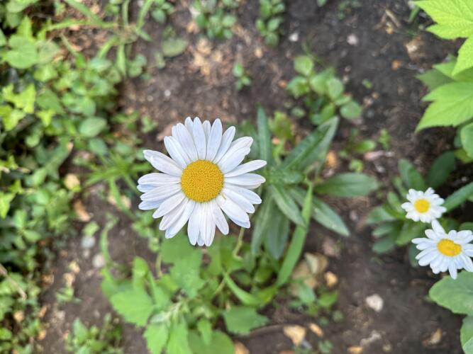 Гостевой Дом На Энгельса, фото 21