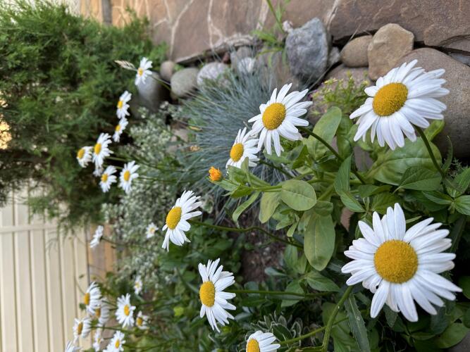 Гостевой Дом На Энгельса, фото 27