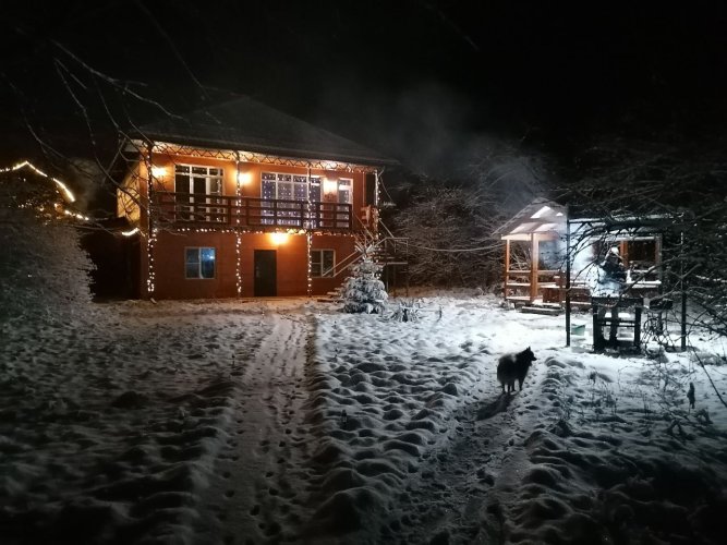 Гостевой дом Хижина, фото 23