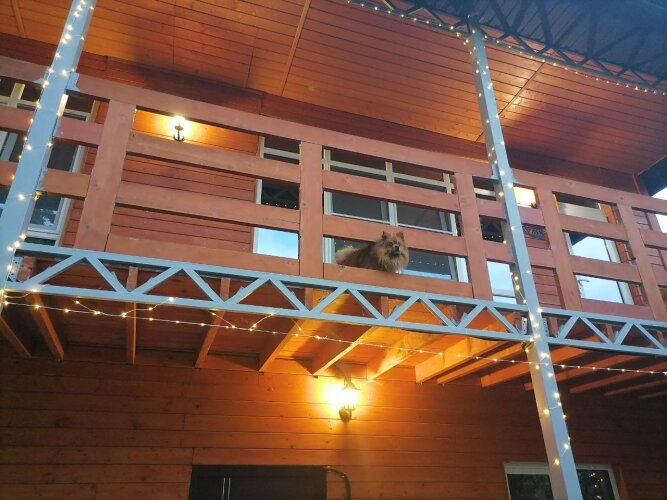 Гостевой дом Хижина, фото 24