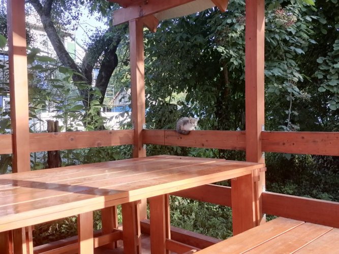 Гостевой дом Хижина, фото 25