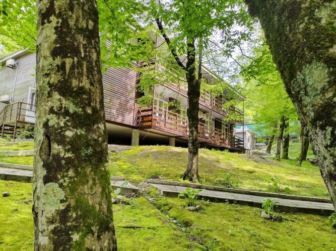 Олимп (Бухта Инал), фото 55