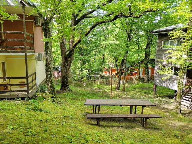 Олимп (Бухта Инал), фото 69