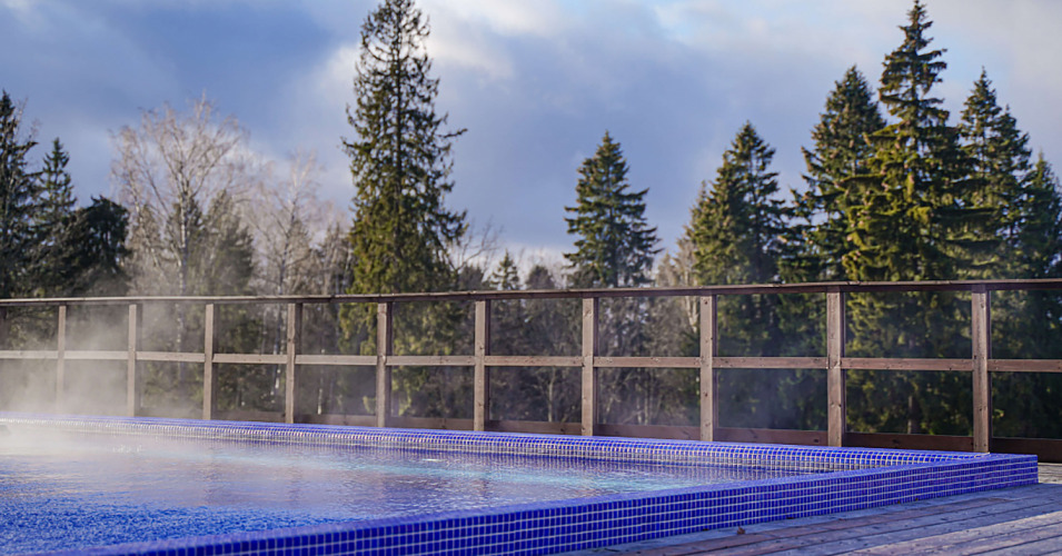 Русские Сезоны Спа Отель Пересвет, фото 50