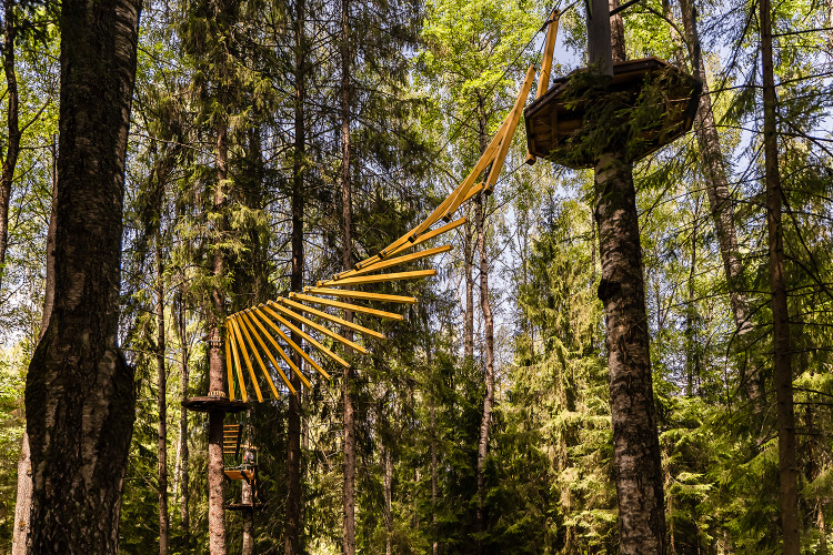 Русские Сезоны Спа Отель Пересвет, фото 69