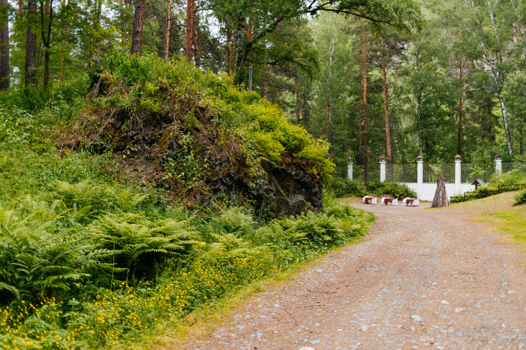 База Отдыха Сhale Прискальный, фото 11
