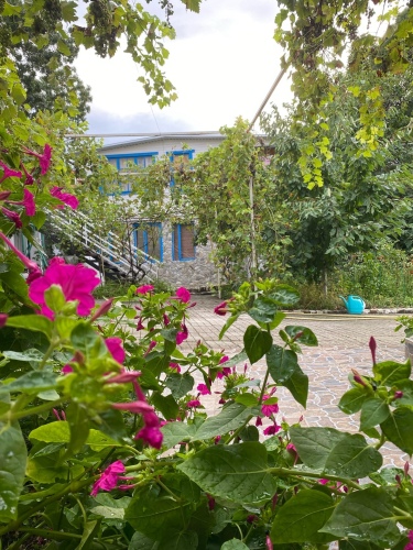 Гостевой дом Френдс, фото 20