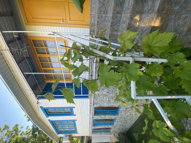 Гостевой дом Френдс, фото 21