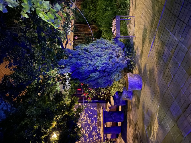 Гостевой дом Френдс, фото 22