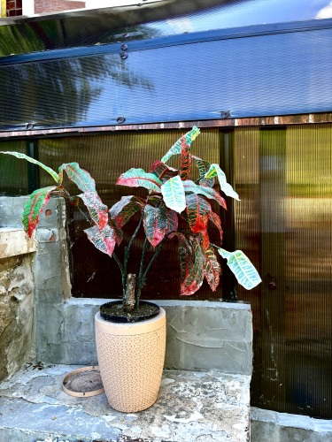 Гостевой дом Райский уголок, фото 16