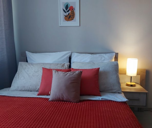 Уютные Апартаменты на Вольного Новгорода, фото 15