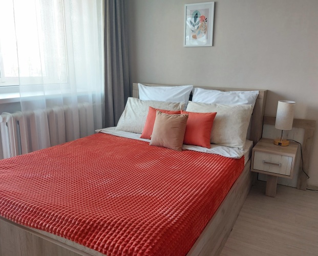 Уютные Апартаменты на Вольного Новгорода, фото 16